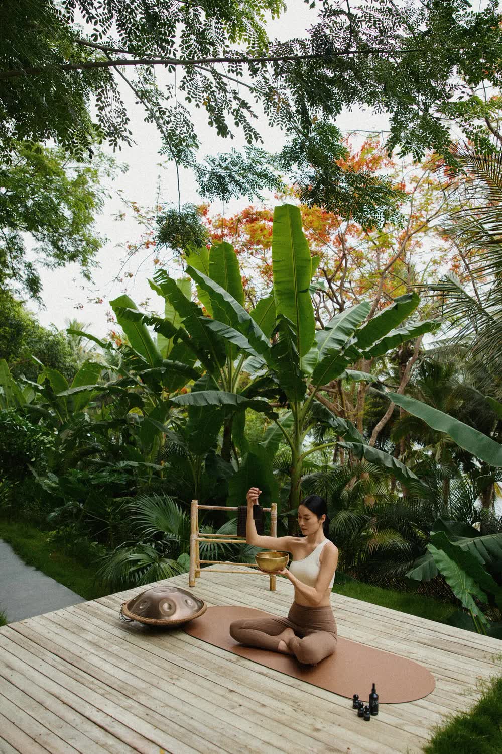 Luxe, jungle