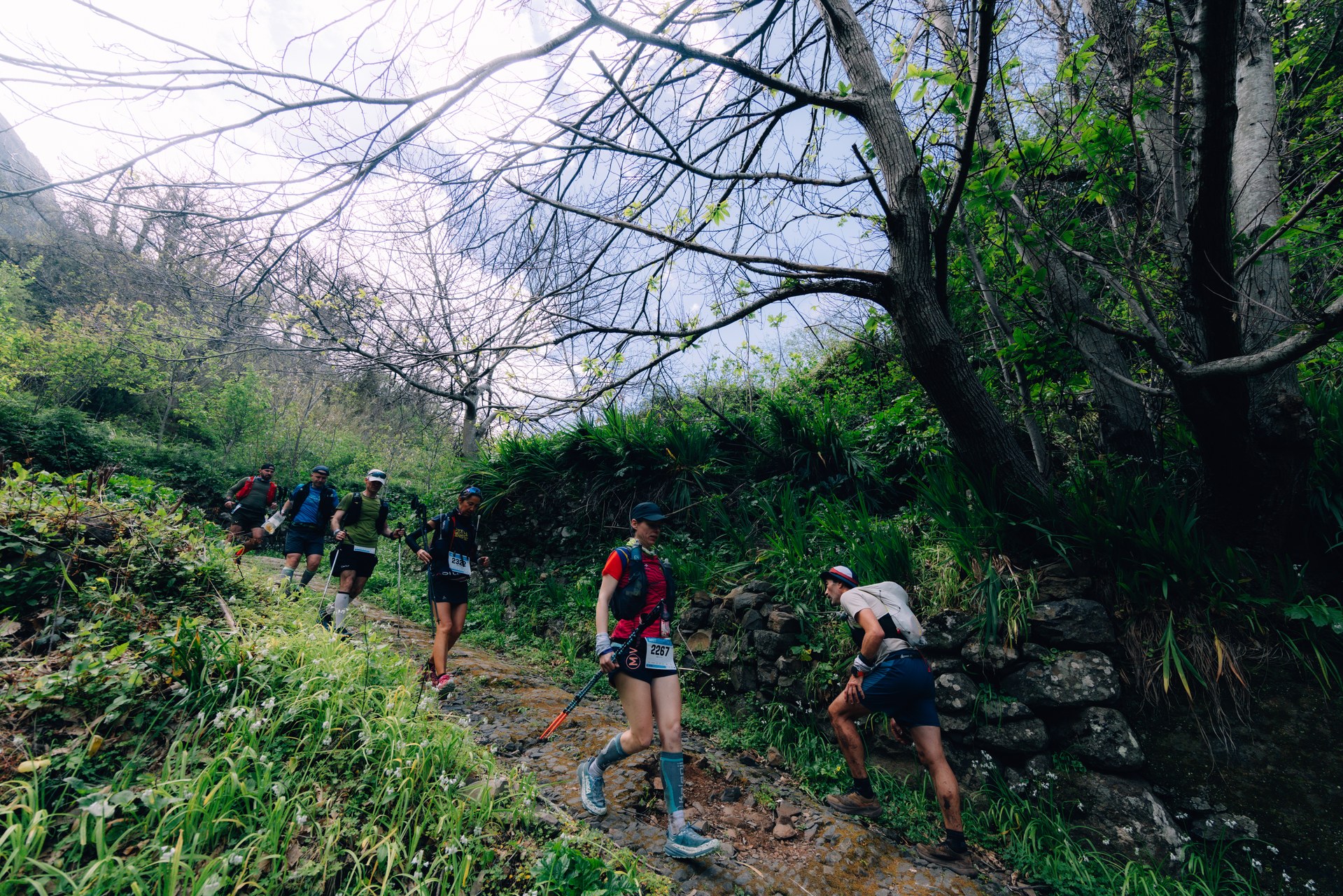 Madeira Island Ultra Trail